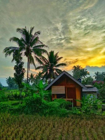 Bed and breakfast 2 ospiti, con giardino