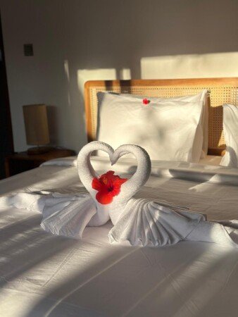 Bed and breakfast 1 habitación, con jardín