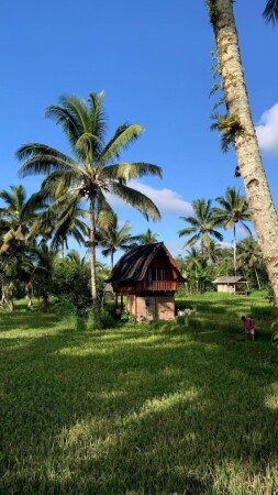 Bed and breakfast 1 camera, con giardino
