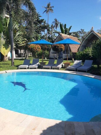 Bed and breakfast 1 bedroom, with pool