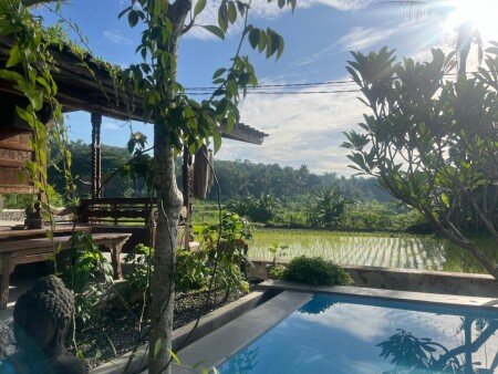 House 6 guests, with pool