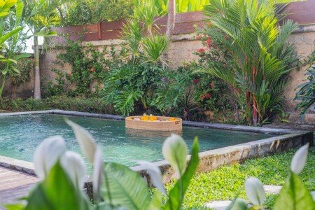 Villa 1 bedroom, with pool