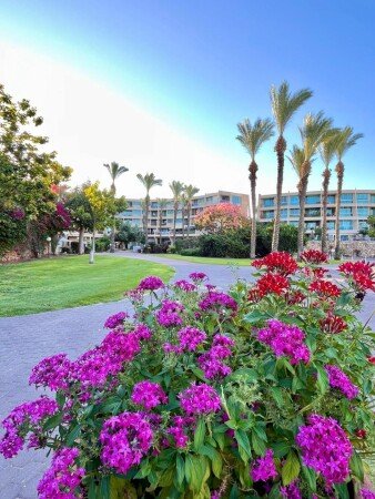 Aparthotel 1 bedroom, with pool