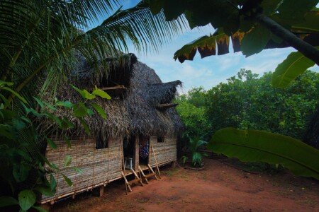 Gîte 3 voyageurs, avec jardin