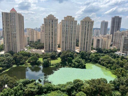 Apartment 1 bedroom, with garden