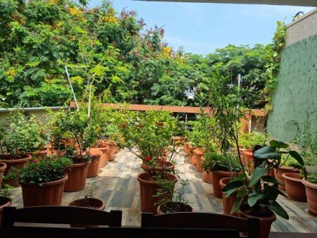Apartment 1 bedroom, with garden