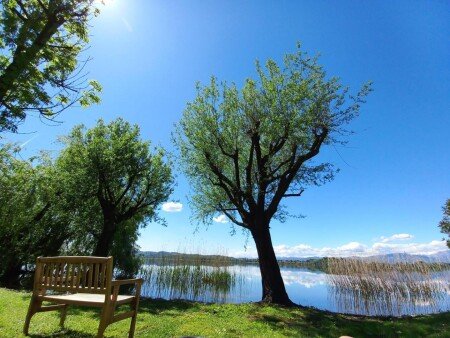 Appartamento 2 camere, con giardino