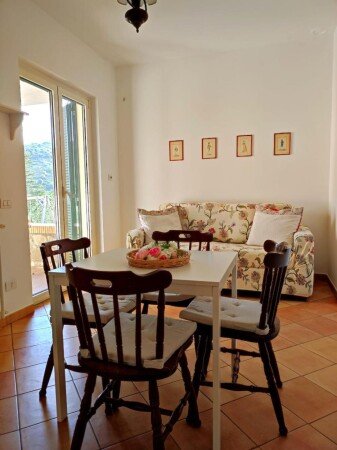 Appartamento 1 camera, con giardino