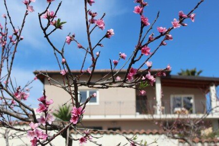 Bed and breakfast 4 ospiti, con aria condizionata