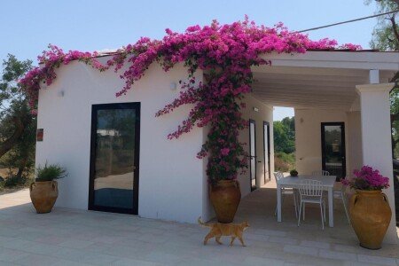 Casa 2 camere, con giardino