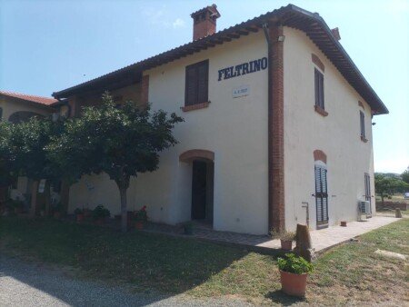 Appartamento 1 camera, con giardino