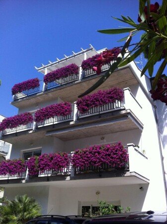 Aparthotel 4 ospiti, con aria condizionata