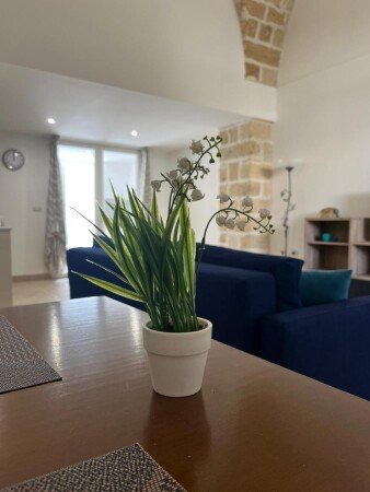 Casa 1 camera, con aria condizionata