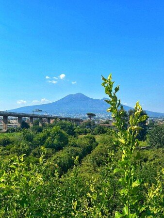 Bed and breakfast 1 camera, con giardino