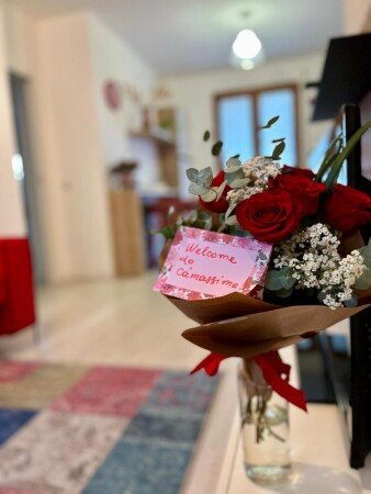 Appartamento 2 camere, con giardino