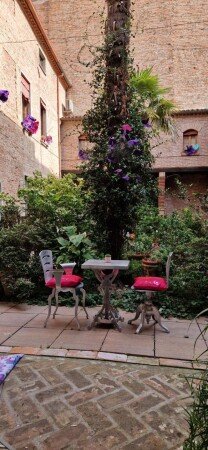 Appartamento 1 camera, con giardino
