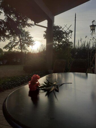 Appartamento 1 camera, con giardino