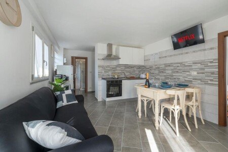 Appartamento 2 camere, con giardino