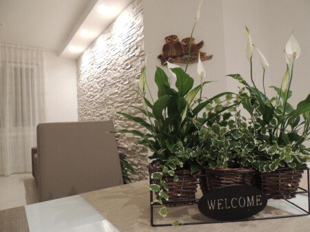 Appartamento 6 ospiti, con giardino