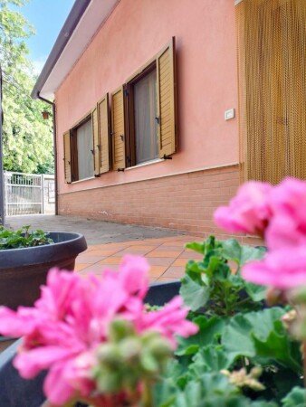 Appartamento 2 camere, con giardino