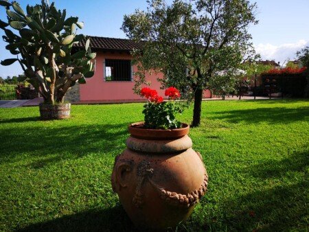 Casa 1 camera, con giardino