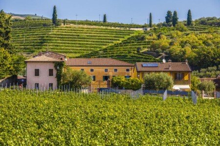 Bed and breakfast 4 ospiti, con giardino