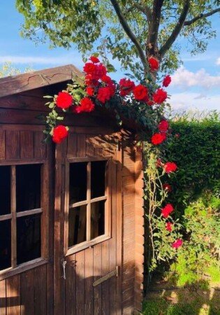 Casa 2 camere, con giardino