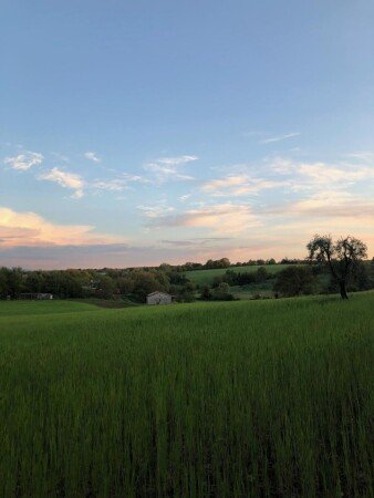 Bed and breakfast 5 ospiti, con giardino
