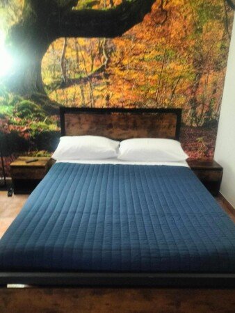 Casa 1 camera, con giardino