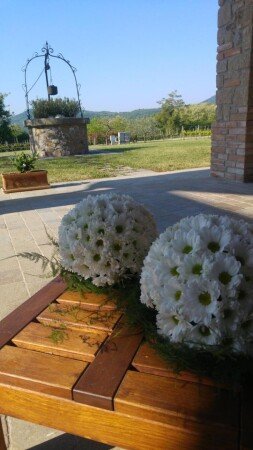 Bed and breakfast 6 ospiti, con giardino