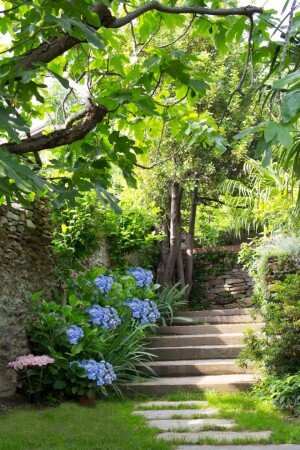 Bed and breakfast 1 camera, con giardino