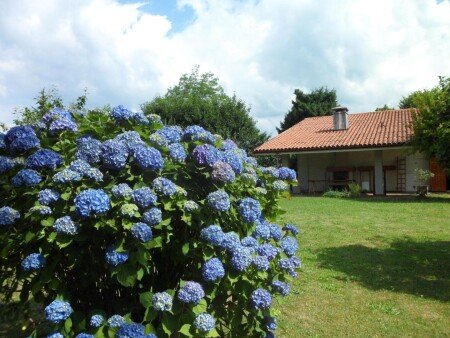 Bed and breakfast 3 ospiti, con giardino