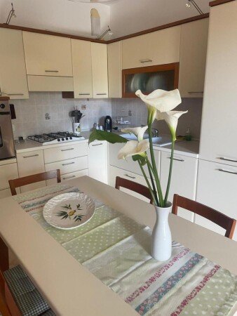 Appartamento 2 camere, con giardino