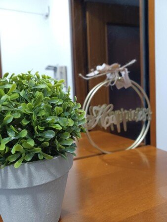 Appartement 2 chambres, avec jardin