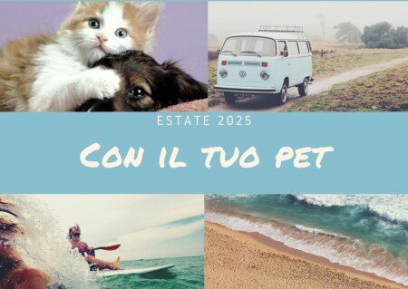 Appartamento 2 camere, con wifi