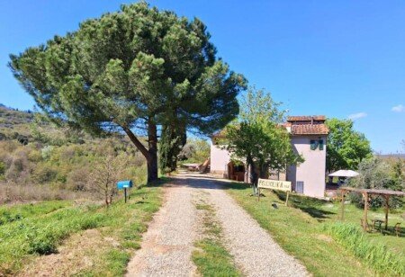 Casa 2 camere, con giardino