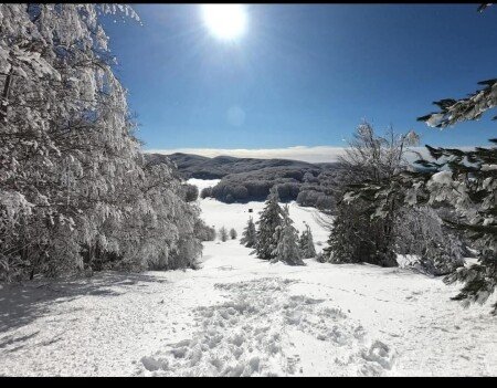 Appartamento 2 camere, con parcheggio