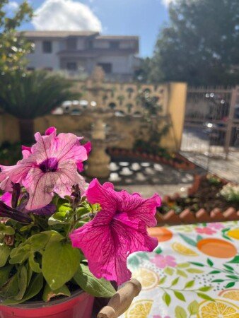 Casa 3 camere, con giardino