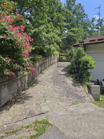 Appartamento 1 camera, con giardino