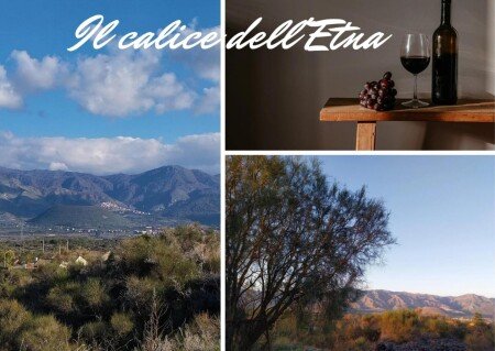 Casa 4 ospiti, con giardino