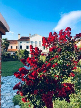 Appartamento 1 camera, con giardino
