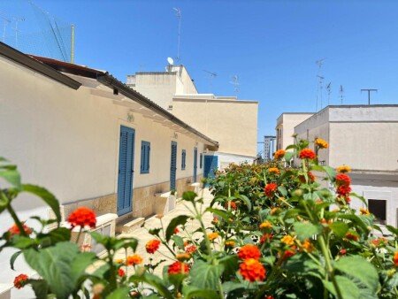 Bed and breakfast 1 camera, con aria condizionata