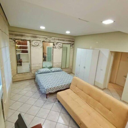 Appartamento 1 camera, con giardino