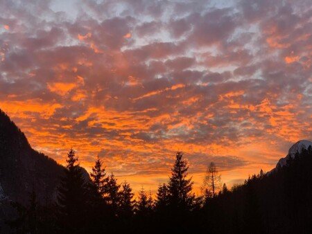 Appartamento 1 camera, con giardino