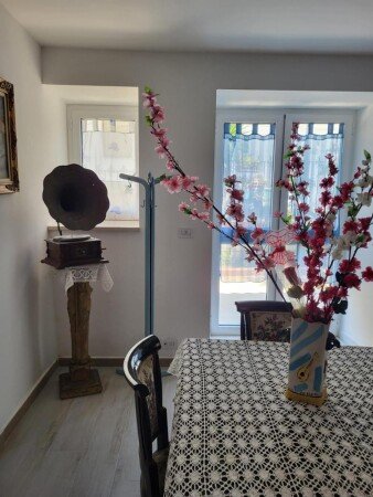 Appartamento 2 camere, con giardino