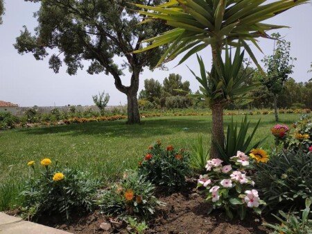 Appartamento 2 camere, con giardino