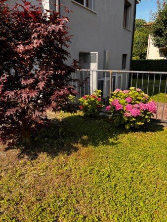 Appartamento 1 camera, con giardino