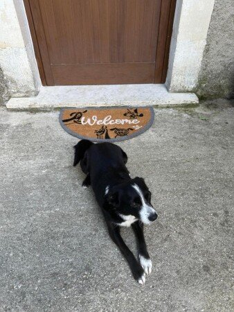 Bed and breakfast 1 camera, con giardino