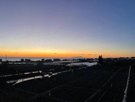 Appartamento 1 camera, con giardino