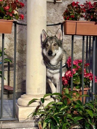 Bed and breakfast 2 ospiti, con wifi